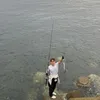 ducjp