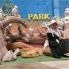 sitiiy_k