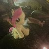 user10051205