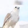 93qwewq