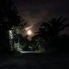 panggil_man15