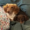 hamish.and.winston