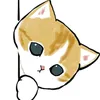 moie_moeie