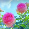 mazn_7282