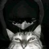 ff_m3zarc