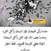 ibn77taiz
