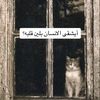 .shami3