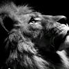 umut_9zcan