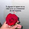 guerra234.8