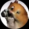 奎