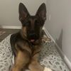 wednesdaythegsd