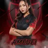 amedei.nr