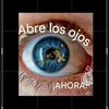 nestorfdz11