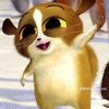 otterz4life15