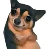 d3n8v2lq7mz1rkel