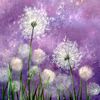 dandelion_purple15