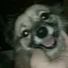 bijelitaaa