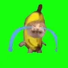 _.__.o0