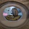 thesilverowl2022