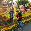 cuccungaiday