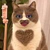 chococrunchymochi