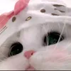 babygurlls33