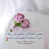 nannoosarafa