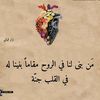 abuahmadd6