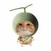 minkphug