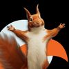 squirrel_with.nuts