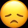 shola_yrn