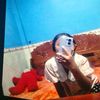 brovisa381
