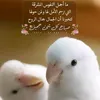 ahmdrt5t2