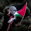 shermuhammad9388