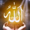abdellahmsd