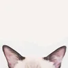 dyqh6hy7ehg7
