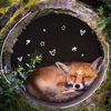 lockheartfox001