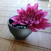 nganthao1212