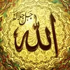 abd_el_hamid_1337