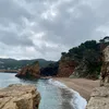 joanar461