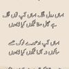 muhammadaltaf4824