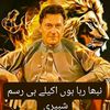 Shabbir Ahmad Mughal