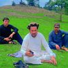 shar_hamid