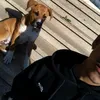 13_german_13