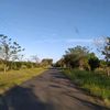 yaybarria