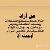 mmff__