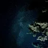 amazingtiktokstory
