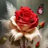 من يعشق بصدق يجد ألف طريق🌹❤️