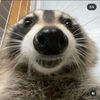 keegster_35_