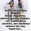yasinkorukcu530